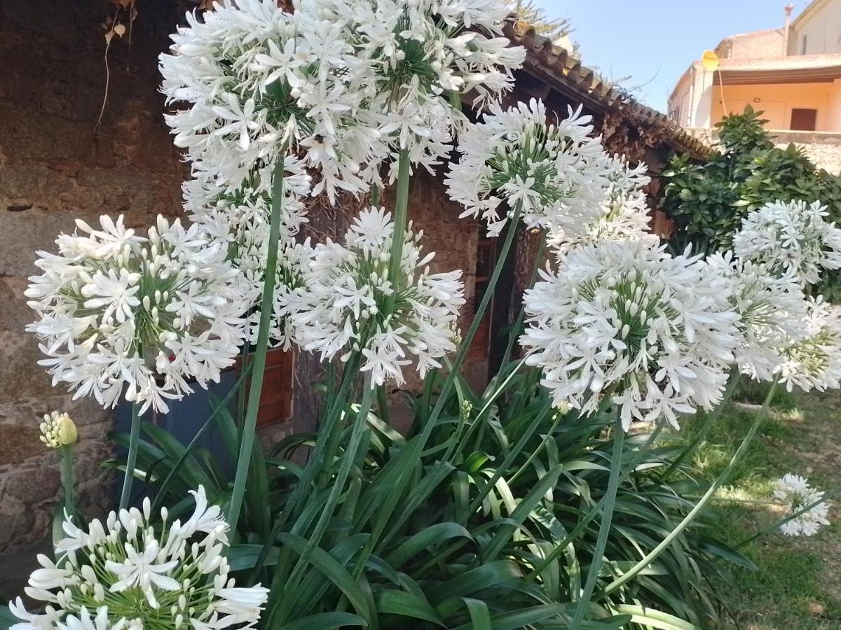 Casa Rural El Refugi Platja D'Aro 4 Romanyá de la Selva Esterno foto
